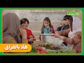 الدولمة عراقي