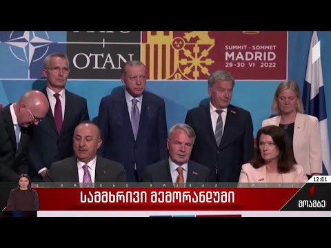 როგორია ალიანსის წევრი ქვეყნების ლიდერების გზავნილები