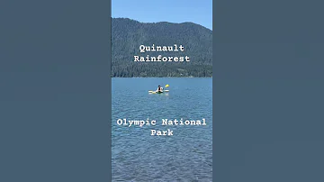A Beautiful August Day In Olympic National Park Exploring The Quinault Rainforest And Lake Lodge 