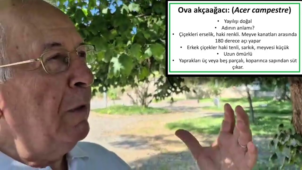 Ahmet Demirtaş ile Milli Egemenlik Parkında... #dendroloji #ankaraparkları