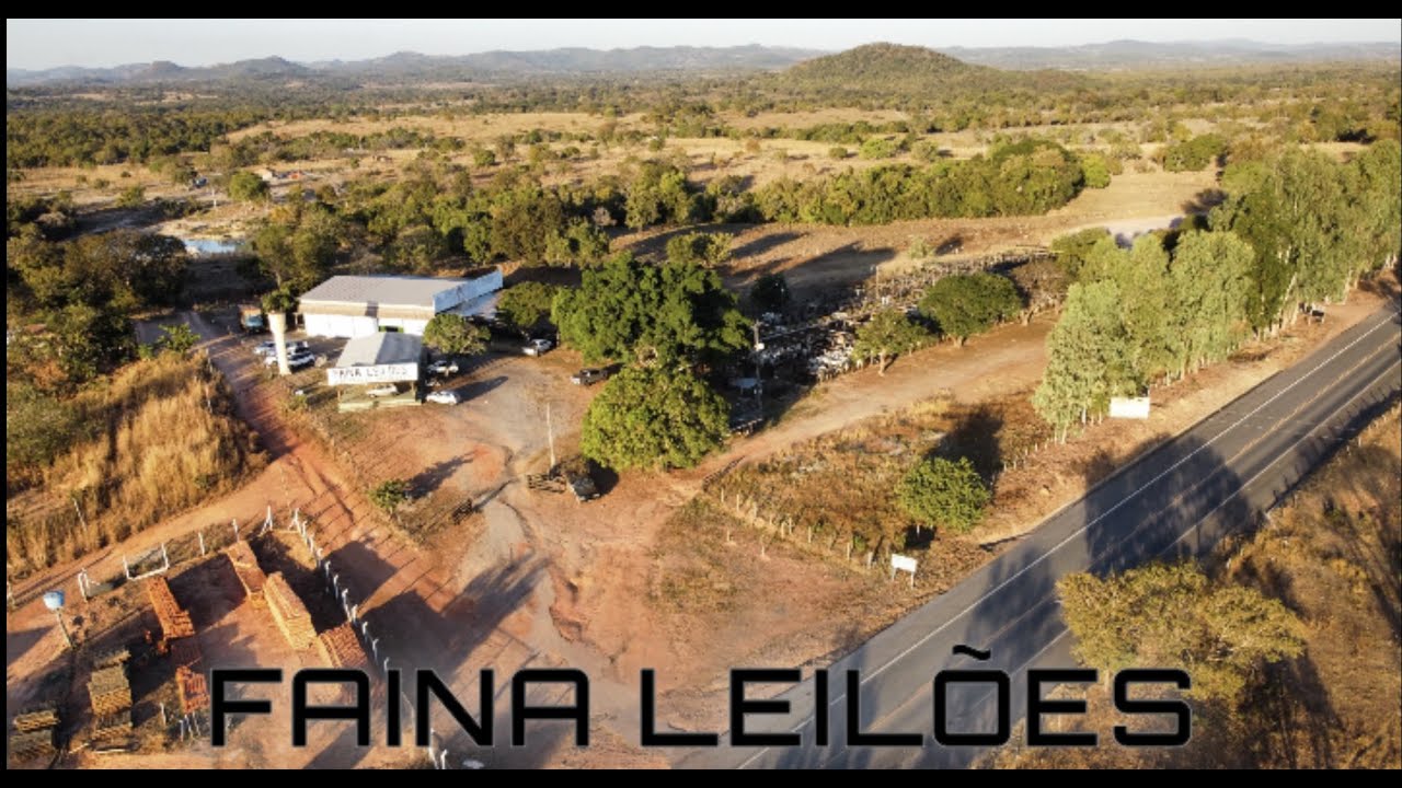 FAINA LEILOES DATA 16/01/2026