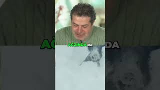 Anlık Reflekle Yaban Domuzu Nasıl Yakalanır? Üneytözdemir Iyayın