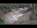 Moore Creek culvert outlet.MOV