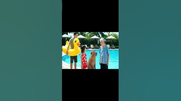 Bé đòi phao con vịt 🦆 Capy mang nguyên đàn vịt về luôn 😂 #capybara #vuive #ongbavaboss #giaitri