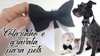 Colarinho e gravata pet em feltro sem costura diy dog bow tie no sew На метелика diy #façaevenda