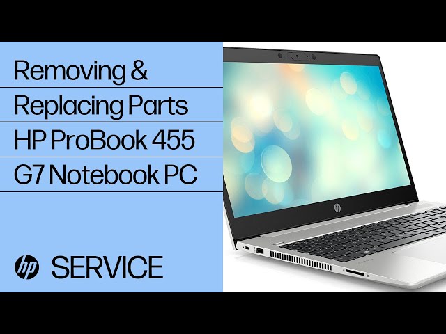 Ноутбук Hp Probook 455 G7 Купить