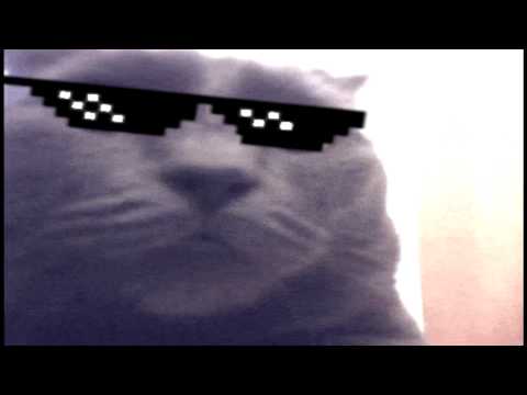 Other Dududu Song Youtube Other Dududu Song Youtube