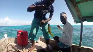 Zanzibar: Chumbe Island, Jambiani, Stone Town, The Rock \& Matemwe (GoPro Hero 3+)