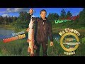 🎣Трофейная щука.Хапнул адреналина 🔥🔥🔥.Щука на блесну