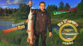 🎣Трофейная щука.Хапнул адреналина 🔥🔥🔥.Щука на блесну