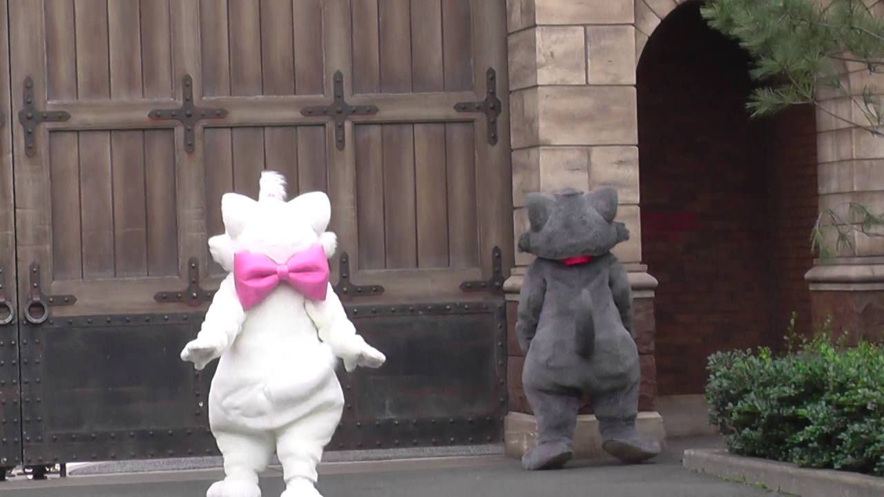 ｔｄｓ マリーちゃん ベルリオーズ君の可愛いお帰り Youtube