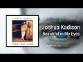 Beautiful in My Eyes - Joshua Kadison