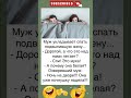 #юмор #одесскийюмор #шутки #jokes #shortsfun #анекдоты