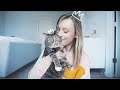 My Cat Eats My Home Decor (Plus a Drugstore Haul)