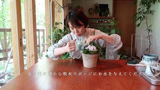 母の日｜アレンジメントがおうちに届いてからの飾り方・おすすめの花瓶・お手入れ方法｜Instagram Live