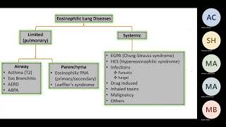 Eosinophilic Lung Disease a case discussion - Dr. AlJarod screenshot 3