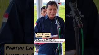 Pantun Lampung Lumbung Pangan #pantun #pantunlampung #pantunpertanian #pantubpangan #shorts