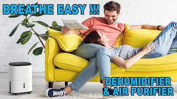 MeacoDry Arete One - Dehumidifier & Air Purifier Review