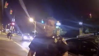 Driver Playing "Pokémon Go" Crashes Into Police screenshot 5