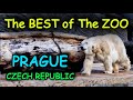 The best zoos in Europe: Czech Republic - Prague #zoo