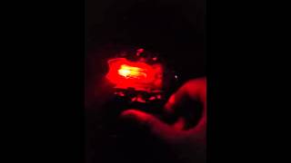 Hexbug Fire ant review