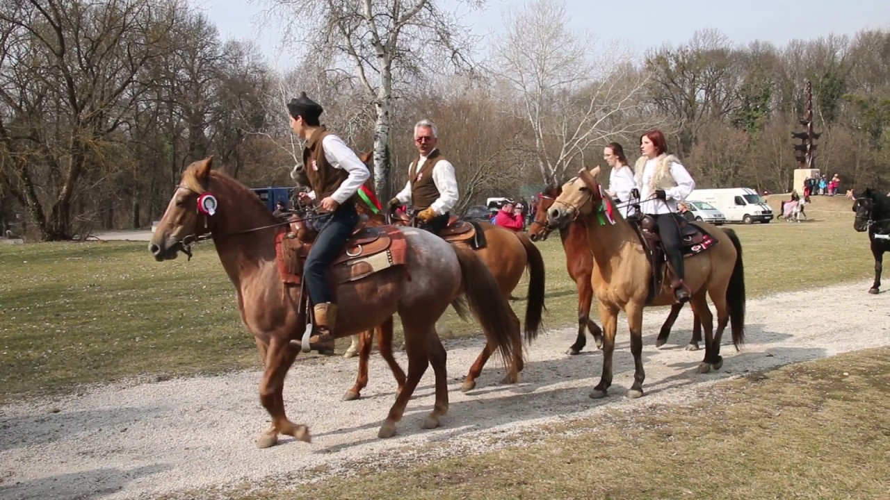 Gödöllő lovas felvonulás 2017 március 15