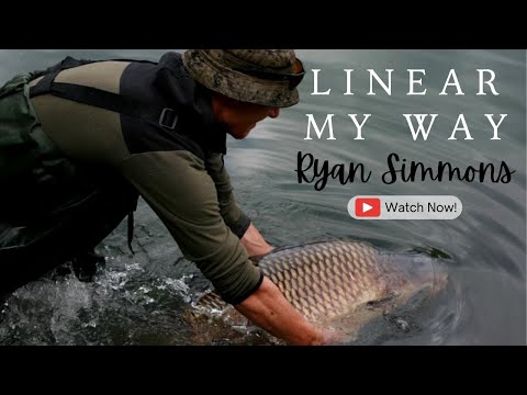 1 ROD, BIG