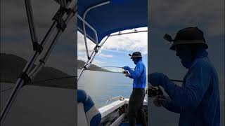 Monster Fish Made Me Cry