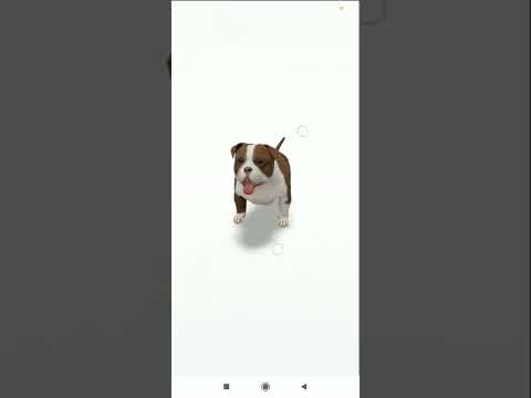 Pitbull Dog In 3D View : Shorts Shortvideo Dog