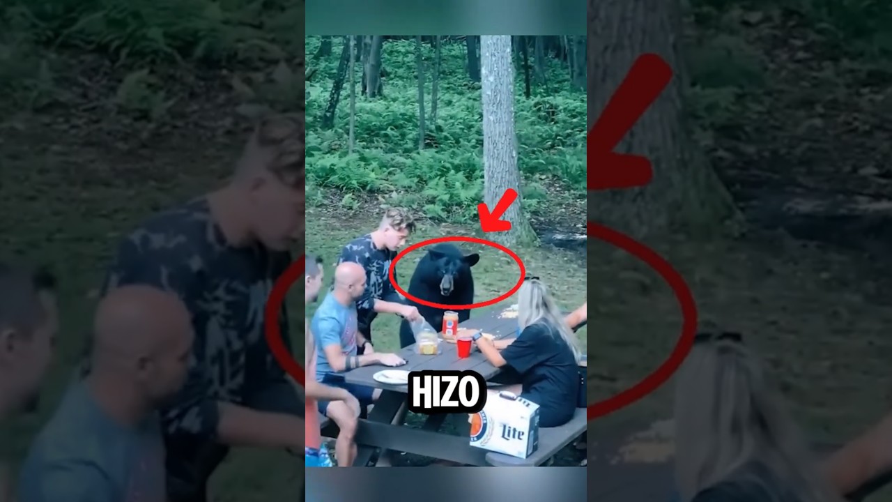 ¡Este OSO NEGRO nos pidió comida y esto paso! 🐻😱