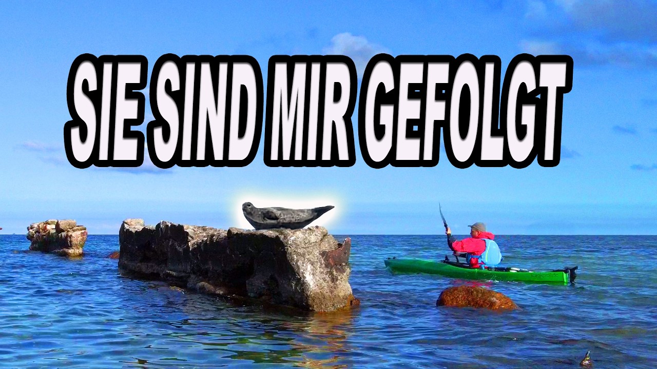 Mit dem Kajak zur Seehundbank - Vorbei an einem Beton Schiffswrack