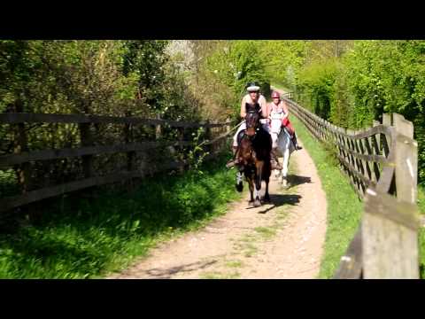 girls-having-fun-galloping-on-their-horses