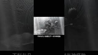 2023年最恐怖的咒術 家族深陷惡毒詛咒 12代新生兒慘遭獻祭 #香港恐怖片 #臺灣恐怖片 #鬼片 #恐怖電影 #恐怖電影