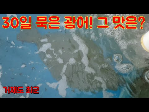 30일 묵은 광어.. 맛이 어떨까?