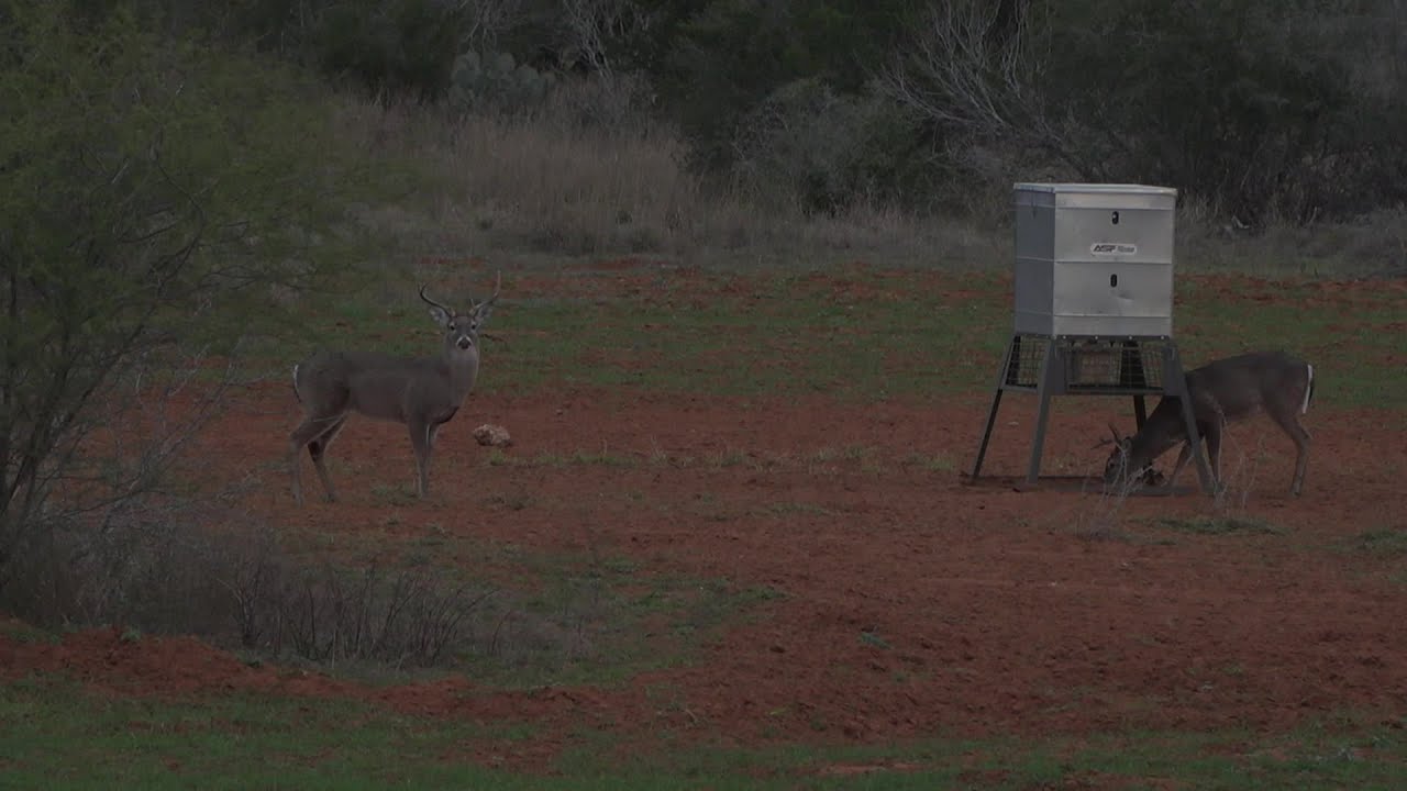In the Hunt - Salty South Texas