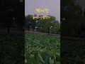 #박서진  #돌아가는삼각지  #2대현역가왕진  #살림남  #장구의신  #shorts