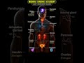 Human Endocrine System Explained in 60 Seconds | Hormones and Their Functions #shorts