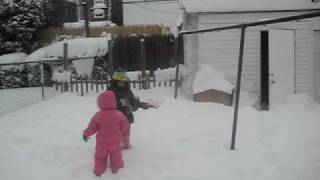 SNOW STORM 2010