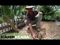 Tortoise Care and Nutrition : Kamp Kenan S1 Episode 9