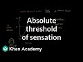 Understanding Sensory Thresholds