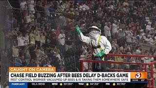 Beekeeper removes bees that caused delay at Chase Field