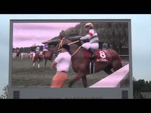 ２０１４年　札幌記念　ファンファーレ　in　中京競馬場