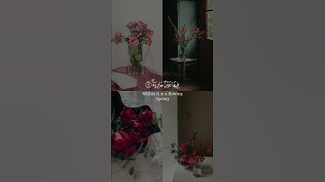 وجوه يومئذ ناعمة بصوت الشيخ ياسر الدوسري من سورة الغاشية