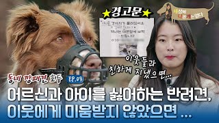 세상에 나쁜 개는 없다  천재견 보더콜리가 왜 이래?_#003