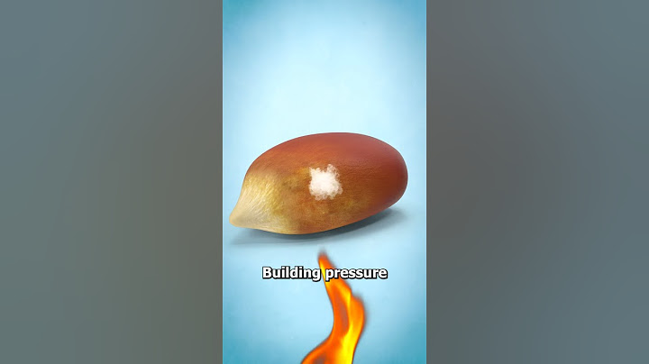 Why Popcorn Kernels Pop 🤨