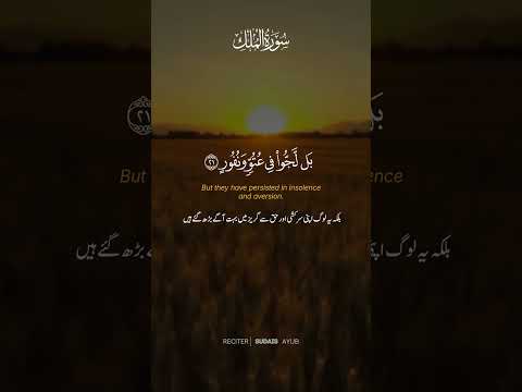 Surah Al Mulk ✨ #shorts #viral