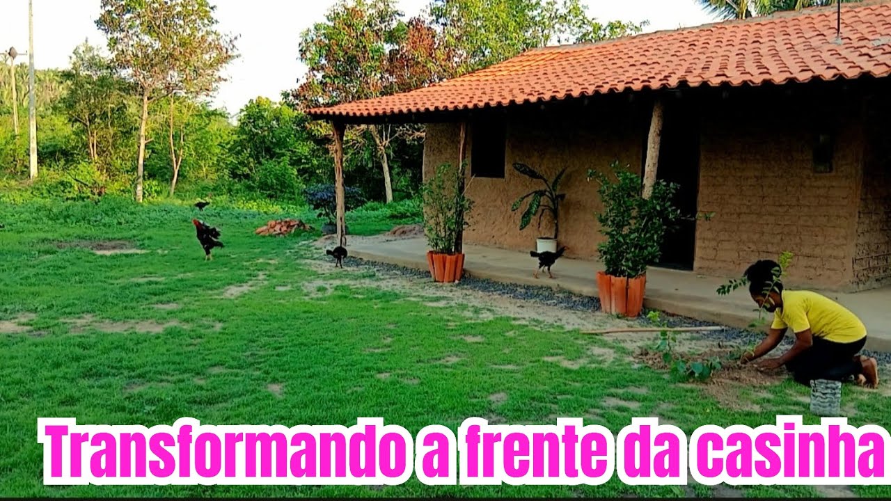 Olha como estou transformando a frente da casinha de taipa 