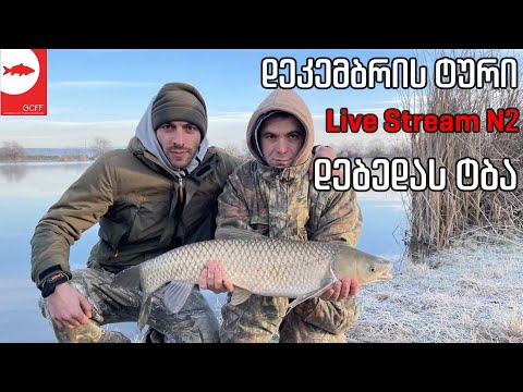 ლაივი დეკემბრის ტურნირიდან - Stream N2