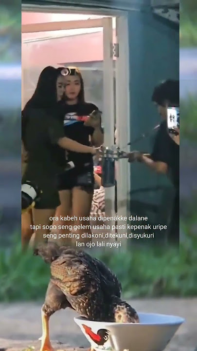 pengamen vs lc #shortvideo #pemula #jowostory #jowopride