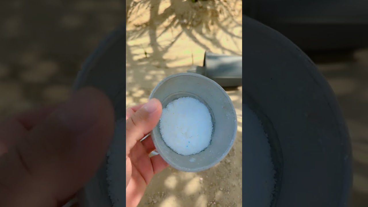 طريقة تسميد بسيطة للسماد المعدني للنخل